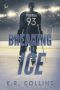 [Sophie Fournier 01] • Breaking the Ice